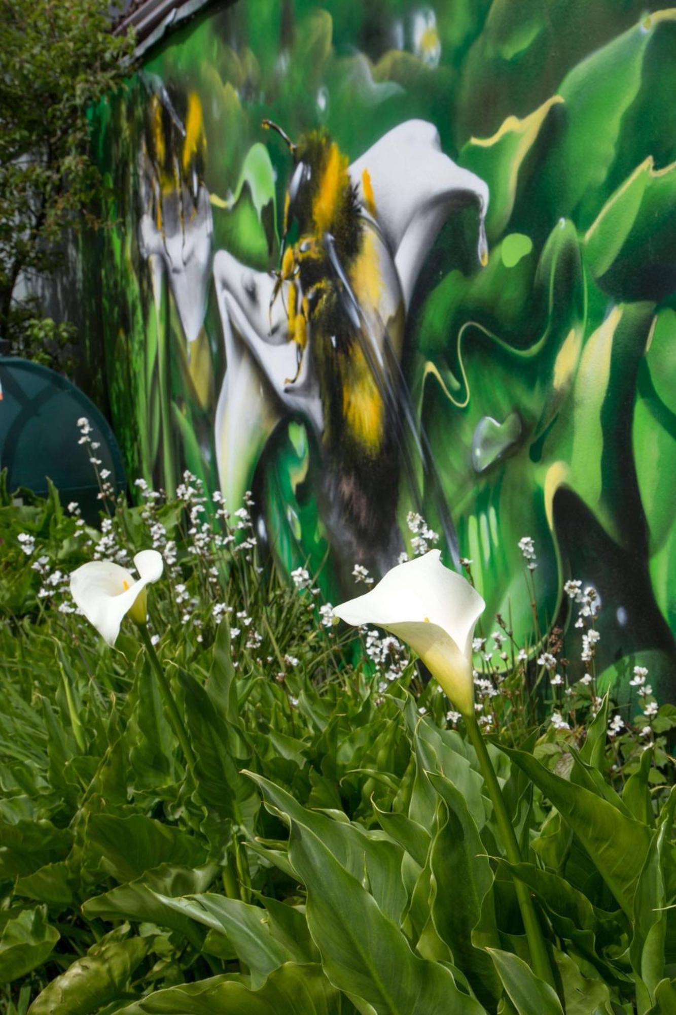 Vila Doorly Park Sligo Exteriér fotografie