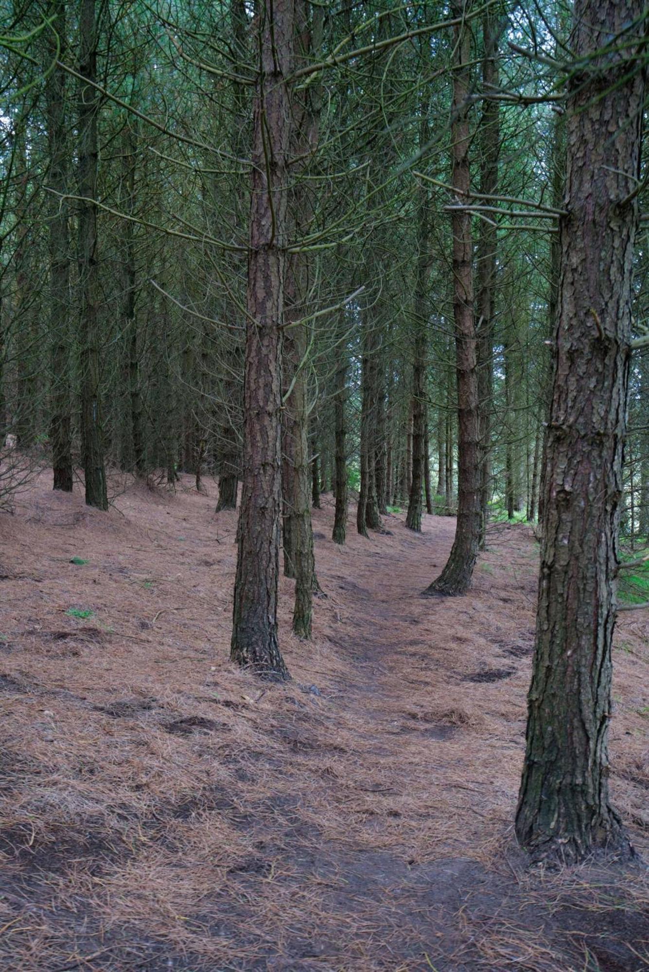 Vila Doorly Park Sligo Exteriér fotografie